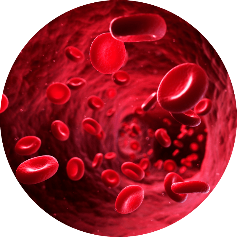 Passo 2 — Mantenha o uso contínuo